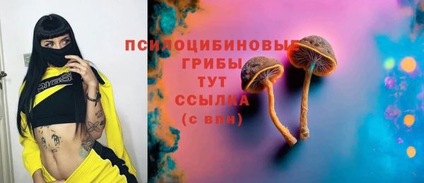 apvp Абаза